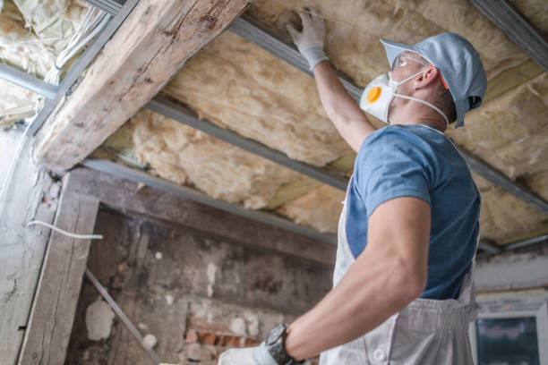 Best Insulation Installation Services in Irvine, KY