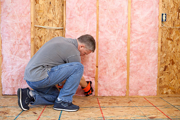 Best Insulation Maintenance and Repair in Irvine, KY